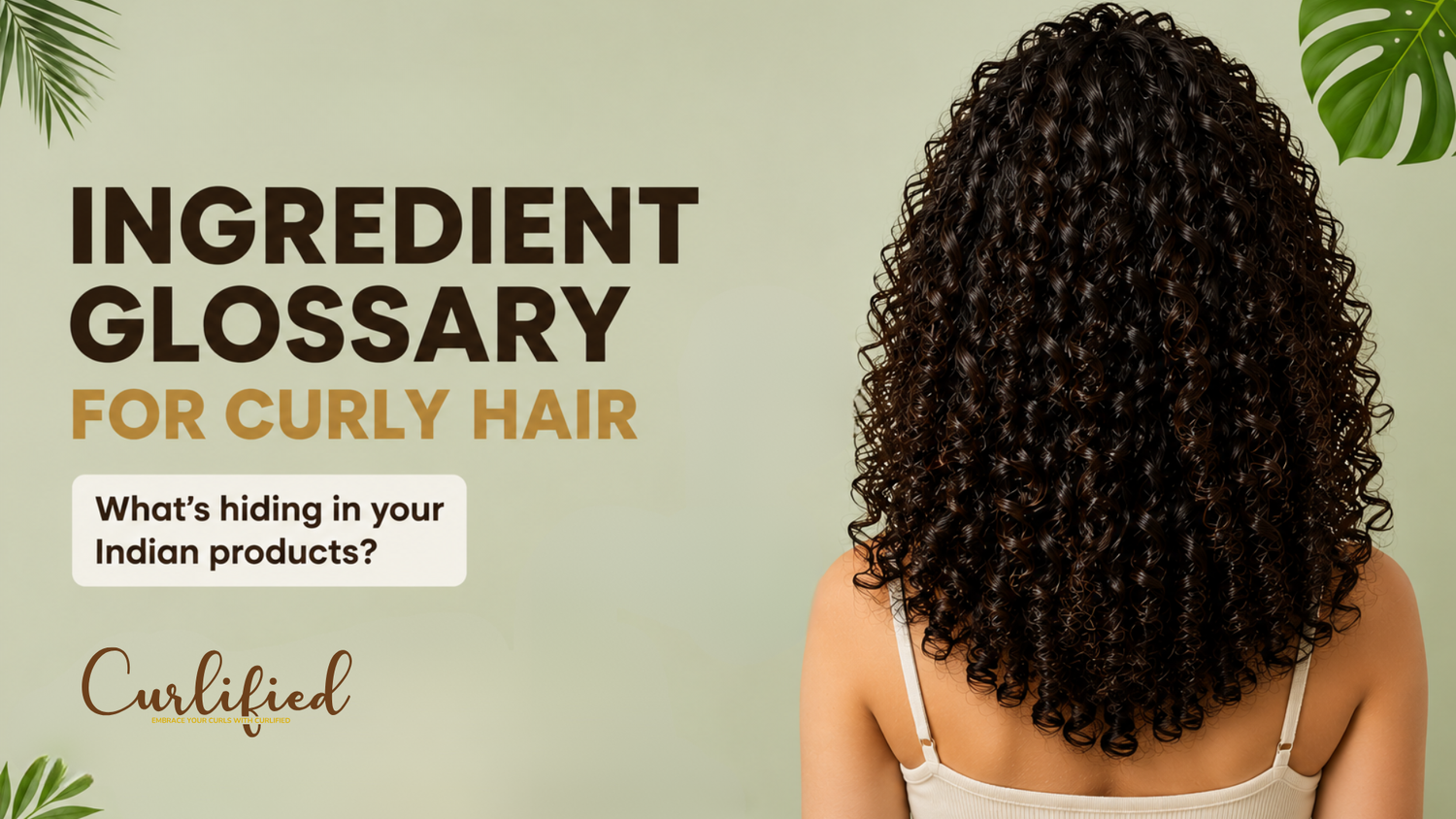 Ingredient Glossary for Curly Hair: What to Avoid in Indian Products