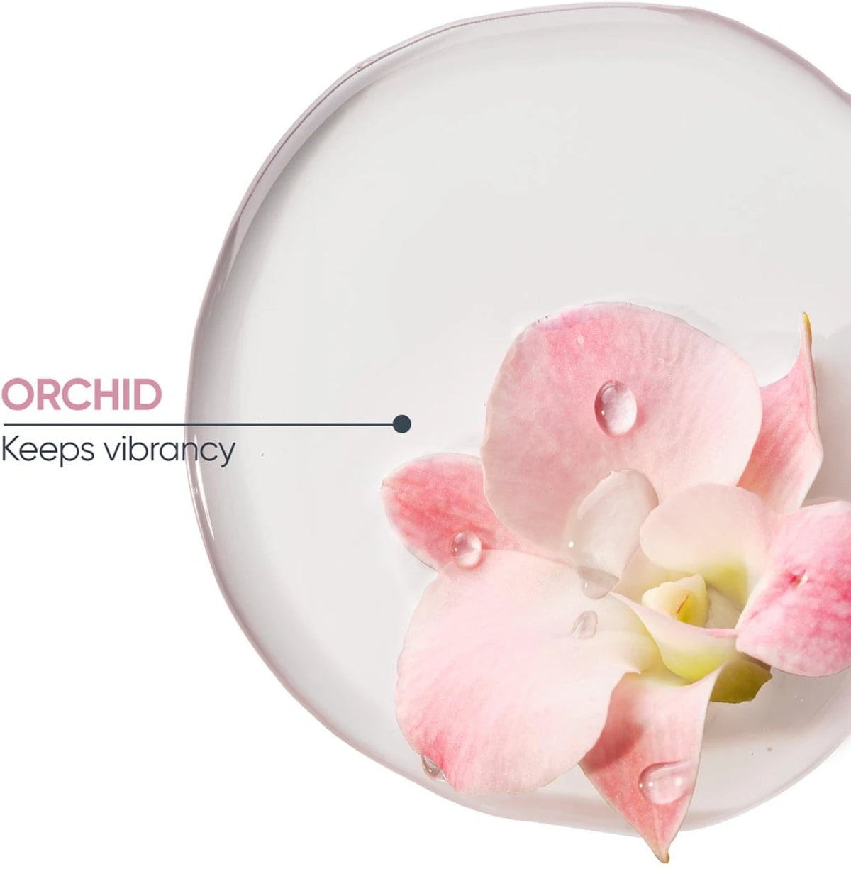 Biolage Professional Colorlast Orchid Shampoo