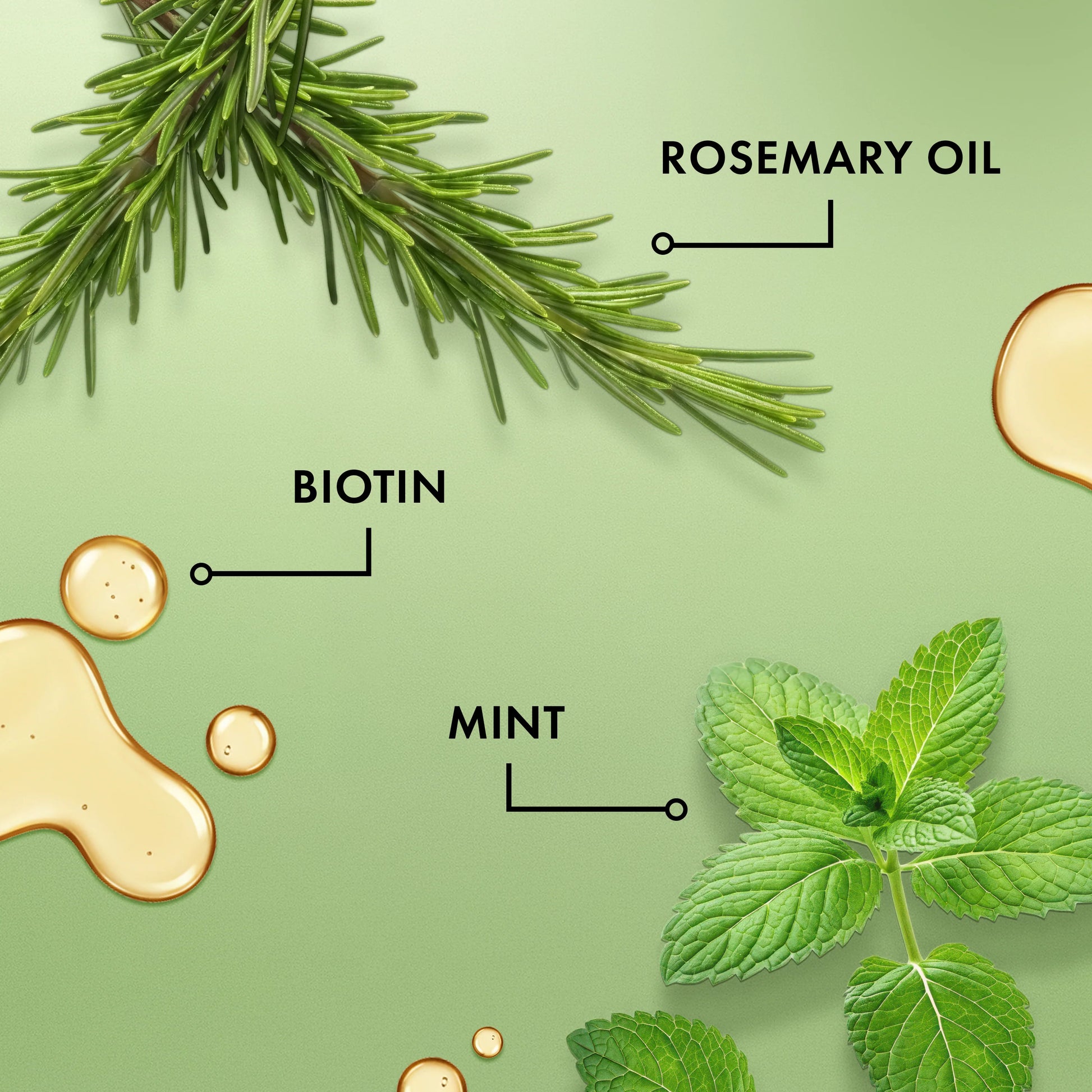 Mielle Rosemary Mint Scalp and Hair Oil - photo 8