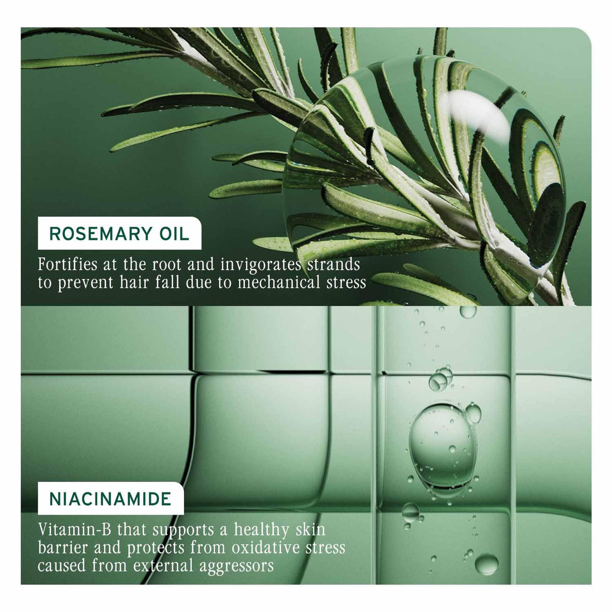Biolage Professional Full Rescue Anti-Hairfall Shampoo