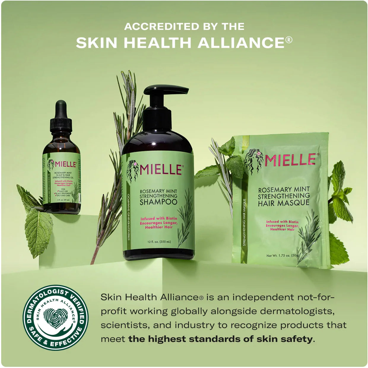 Mielle Organics Rosemary Strengthening Shampoo - photo 5