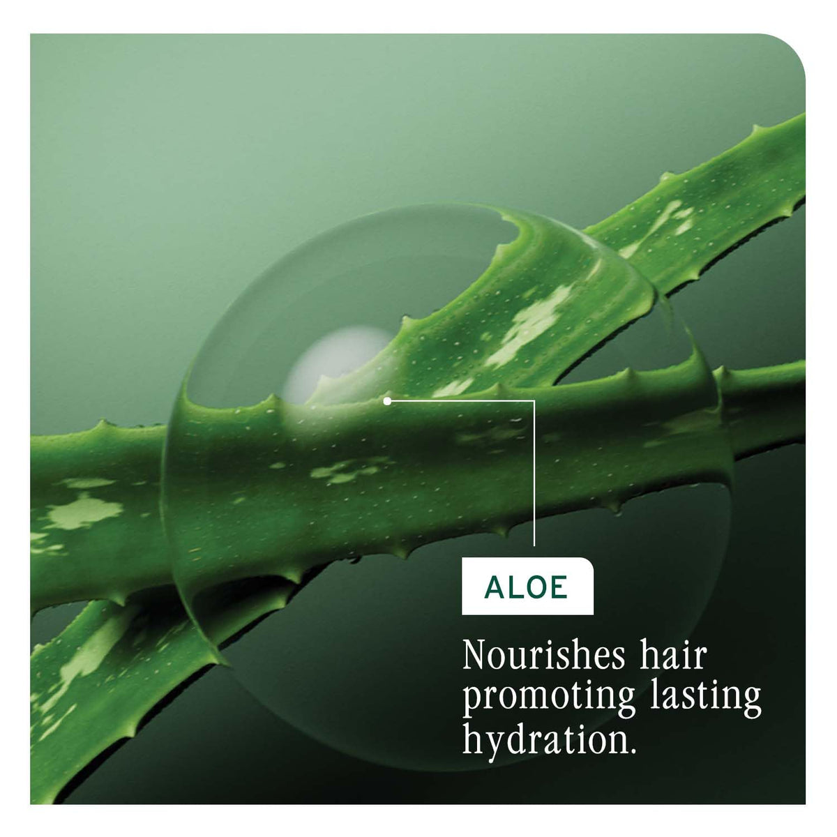 Biolage Professional Hydra Source Conditioning Balm for Dry Hair