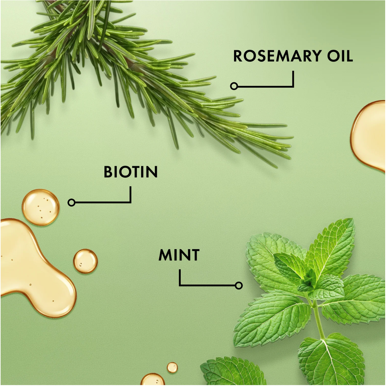 Mielle Organics Rosemary Mint Strengthening Leave-In Conditioner - photo 7